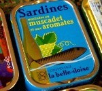 Sardines